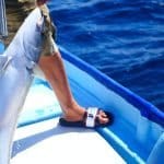 man taking part in one of the best la paz mexico fishing tours