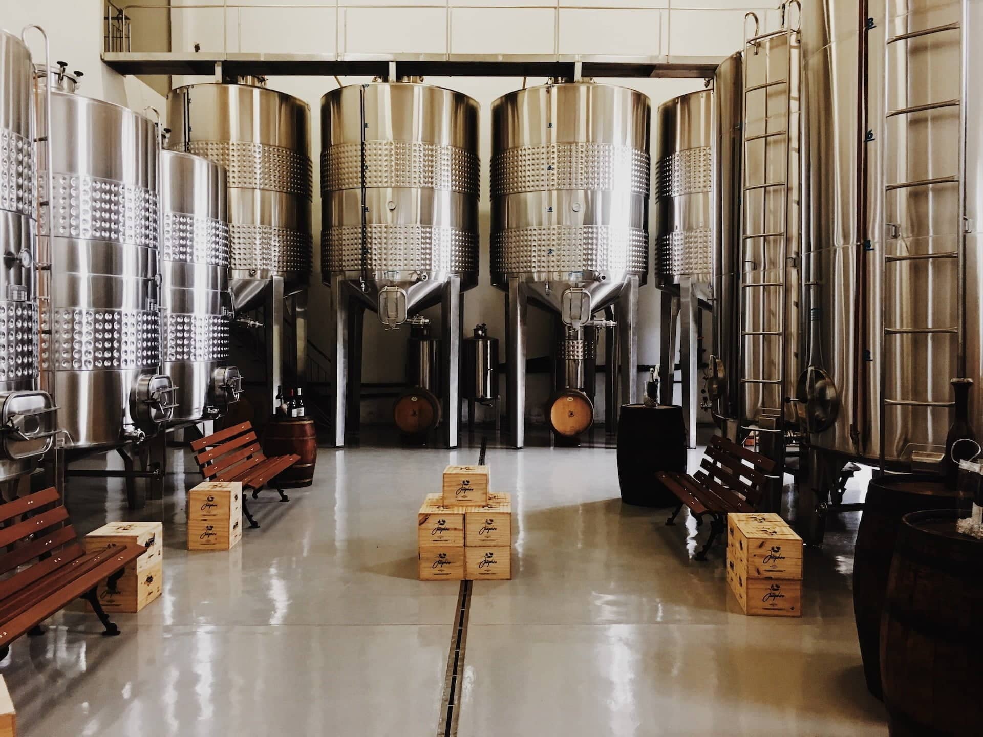 craft beer in tijuana