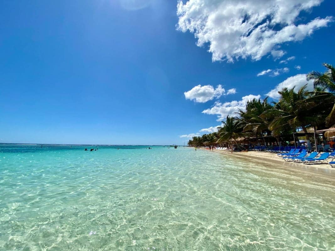 green palm trees on San Felipe public beach under blue sky during daytime