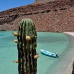 things to do in baja california
