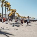 things to do in san felipe mexico