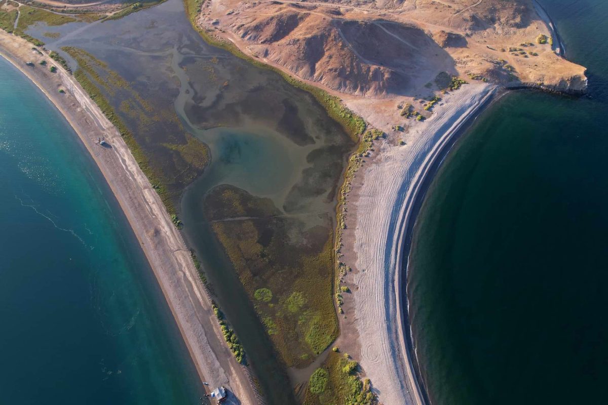 bahia de los angeles
