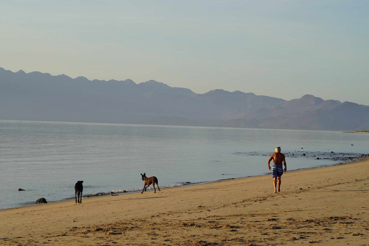 bahia de los angeles campo archelon