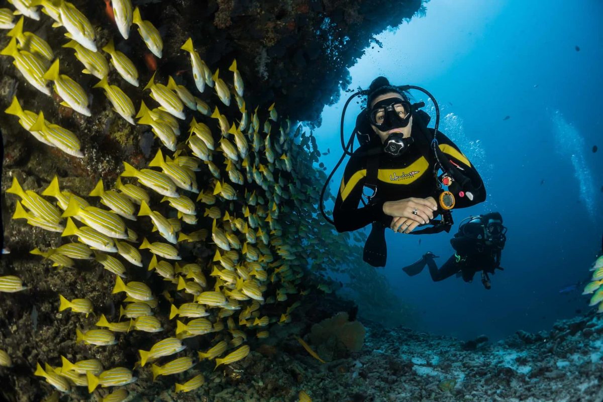 dive cabo pulmo