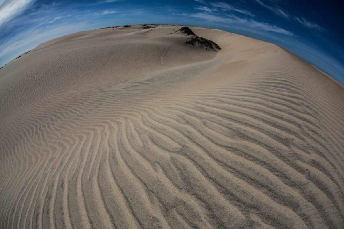 dunas de soledad guerrero negro