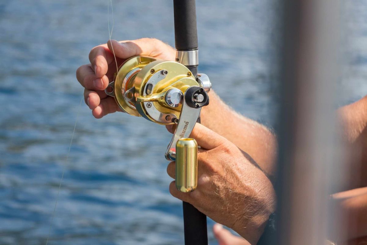sportfishing bahia de los angeles