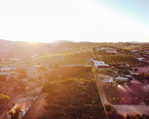 Ejido Eréndira wine tasting