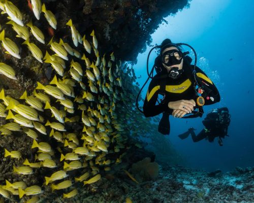 dive cabo pulmo