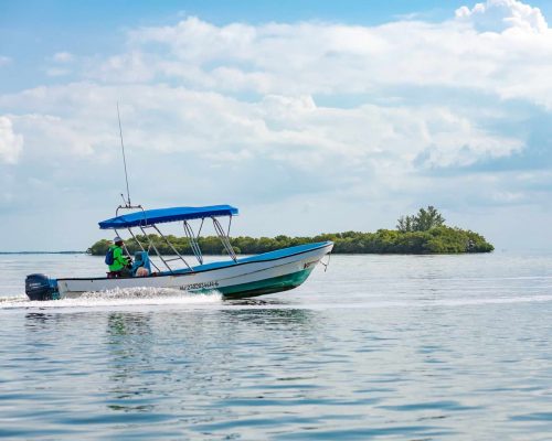 loreto mexico fishing